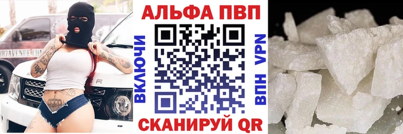 Альфа ПВП СК Кингисепп