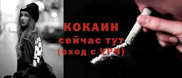 ешки Медногорск