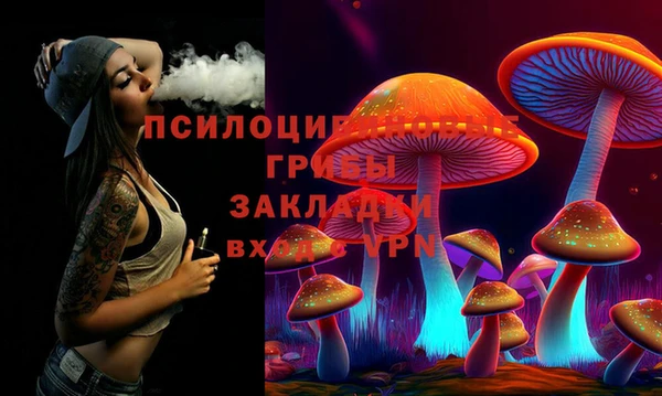 гашик Медвежьегорск