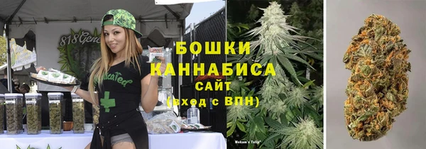 ешки Медногорск