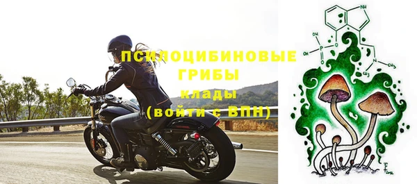 гашик Медвежьегорск