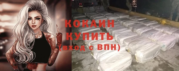 гашик Медвежьегорск