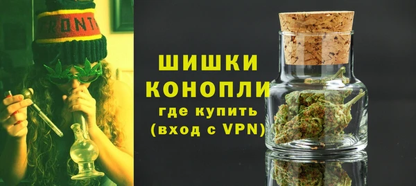 ешки Медногорск